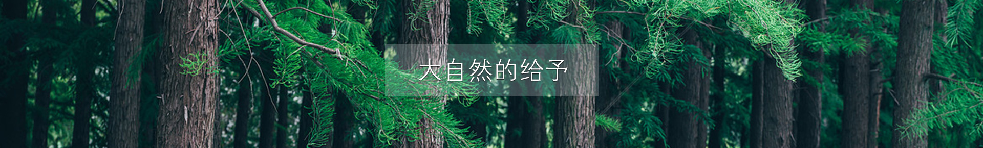 通用banner